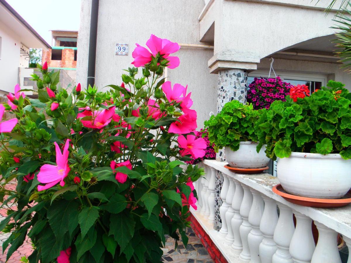 Heviz Kristaly Apartman Exterior photo