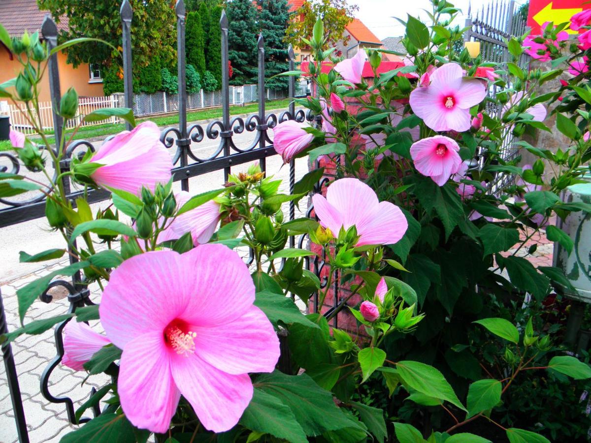 Heviz Kristaly Apartman Exterior photo